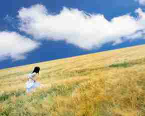 高‍效﻿外﻿链‌建‍设﻿工​具‍